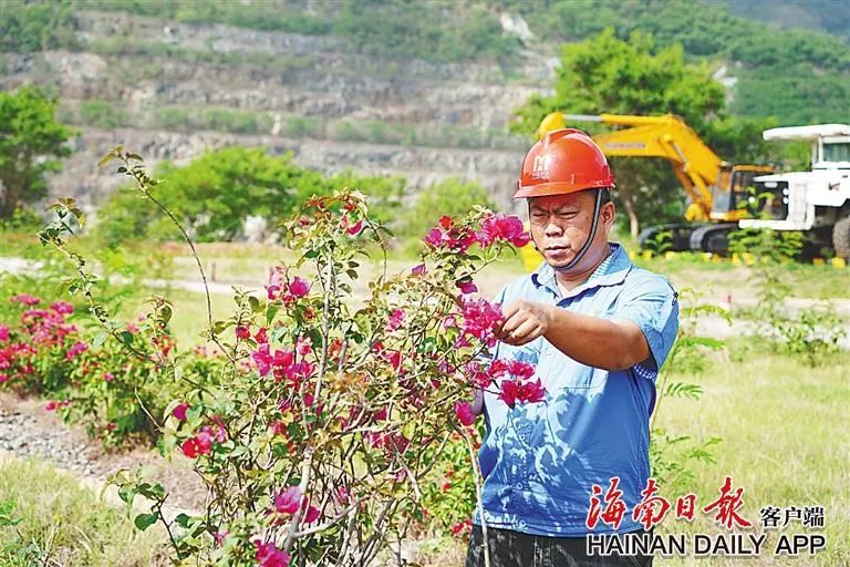 海南这座矿山，，，，，为何这么绿？？？？4.jpg
