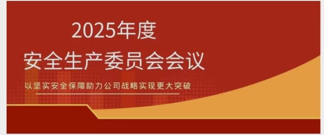 尊龙凯时召开2025年度安委会聚会 锚定清静红线 聚力提质增效