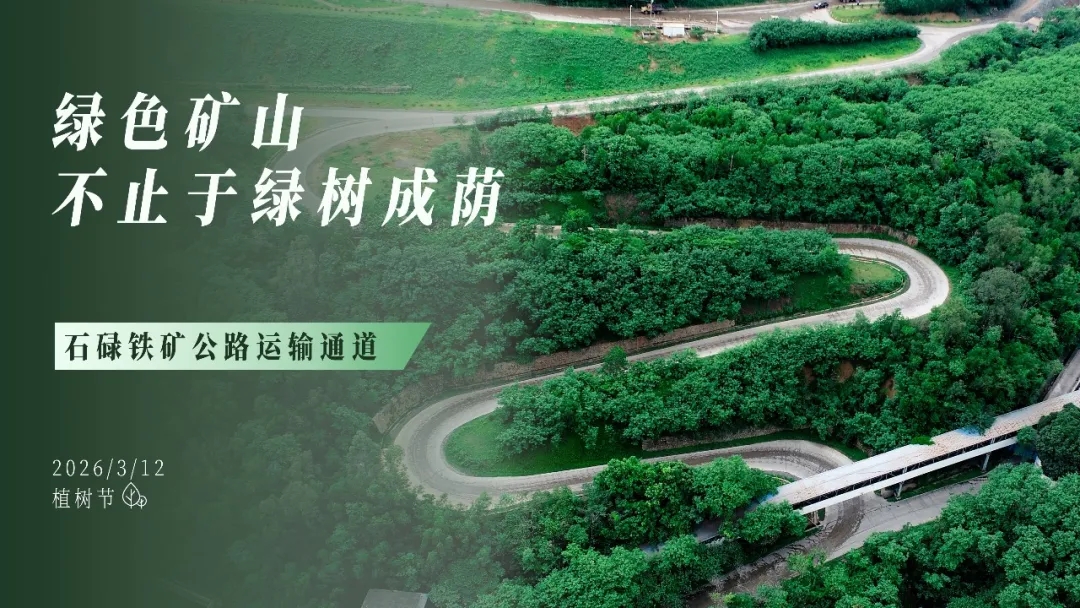 植树节 | 绿色矿山，，不止于绿树成荫